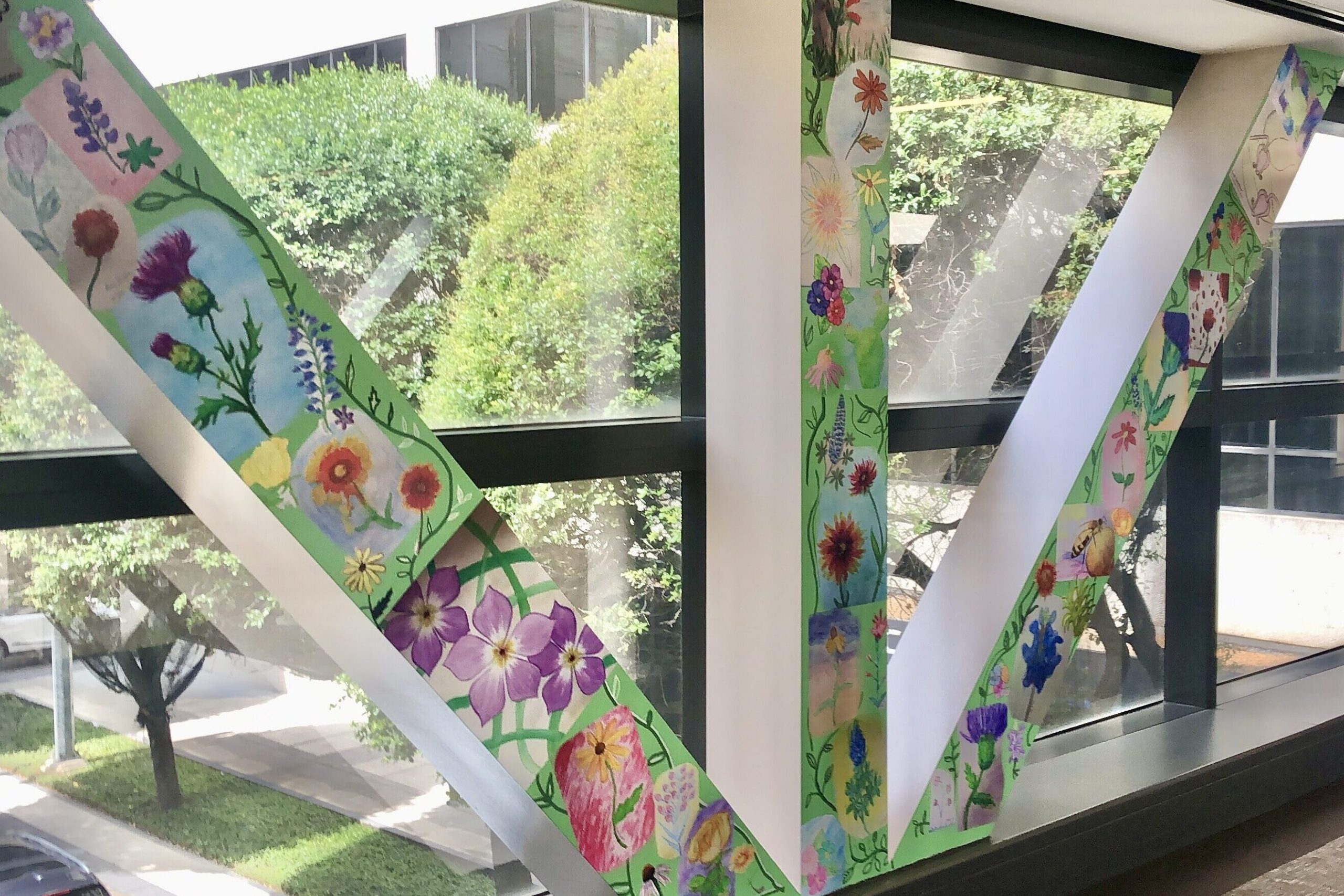 Drawings of Texas flowers on pillars decorated with green background at Houston Methodist crosswalk windows facing Fannin St.